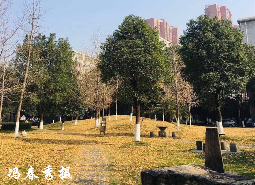 伟德国际1946bv官网