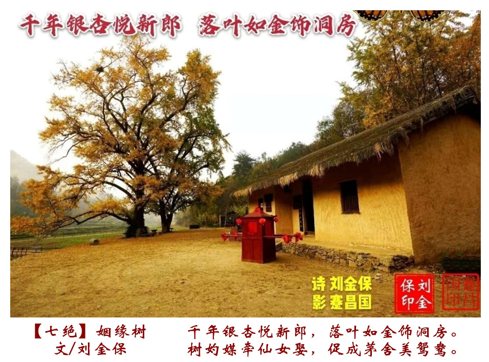 伟德国际1946bv官网