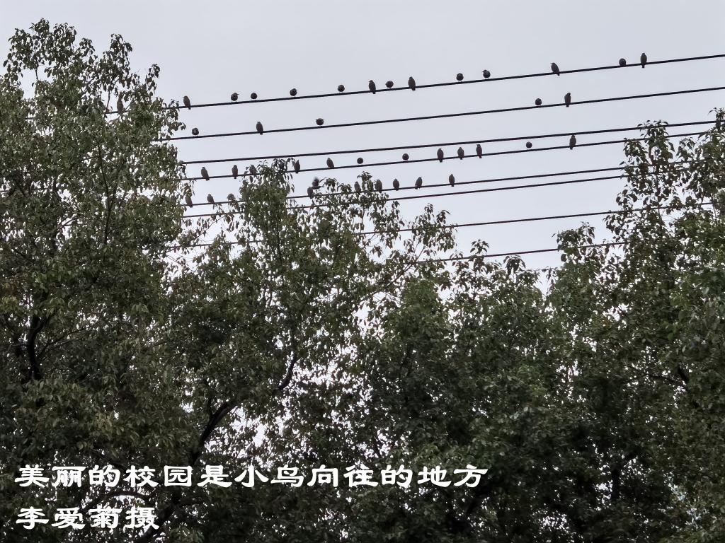 伟德国际1946bv官网