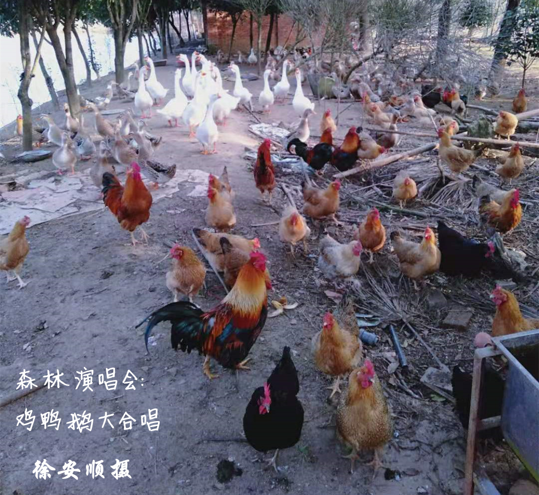 伟德国际1946bv官网