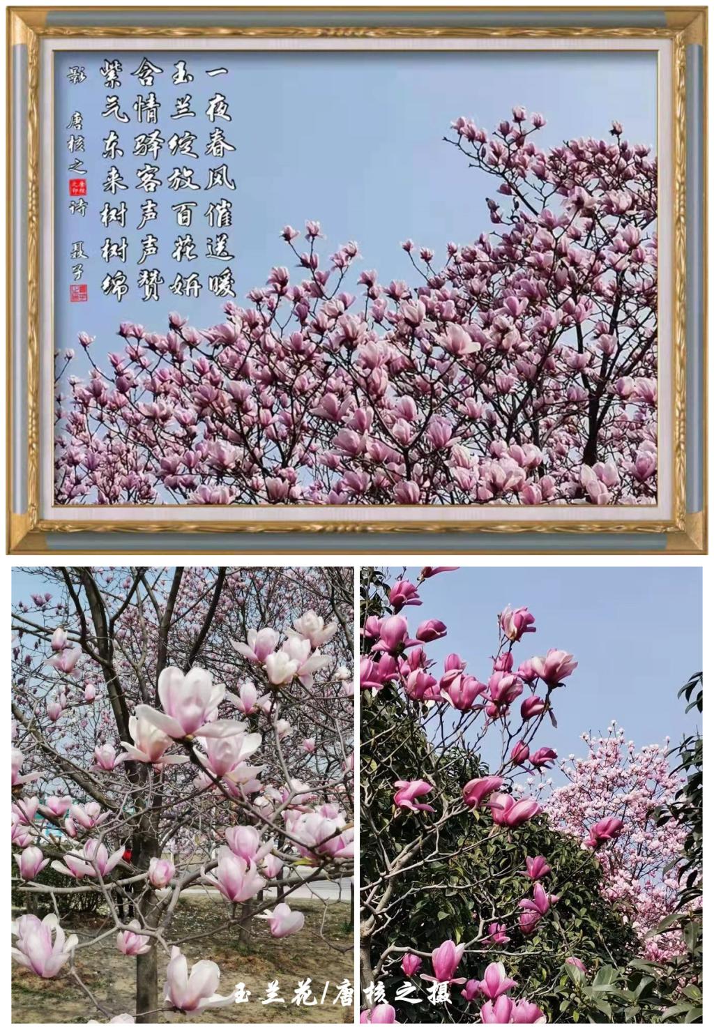 伟德国际1946bv官网