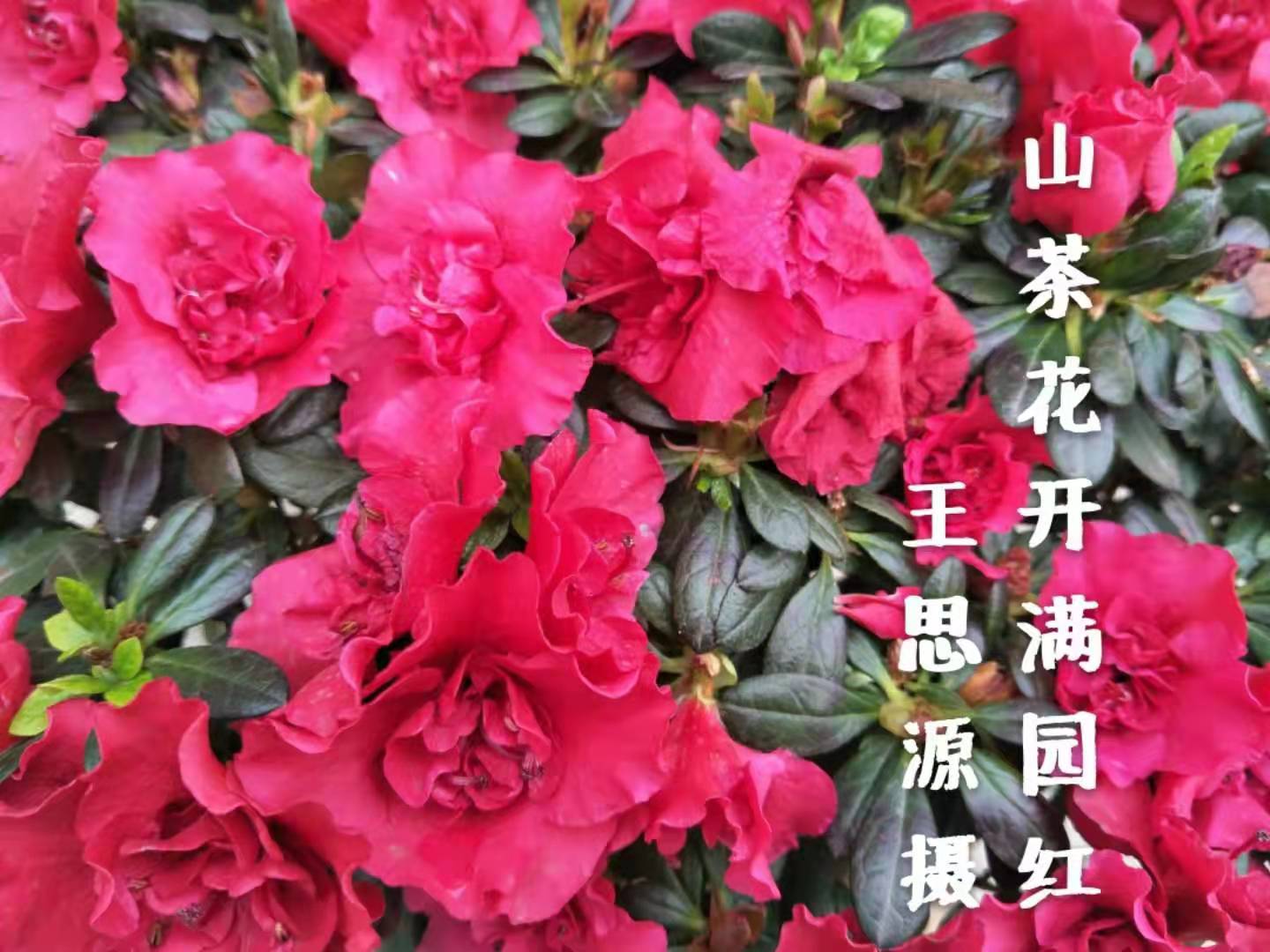 伟德国际1946bv官网