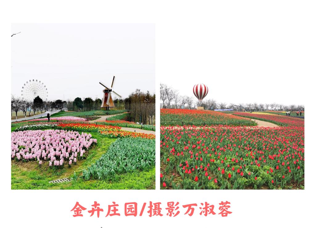 伟德国际1946bv官网
