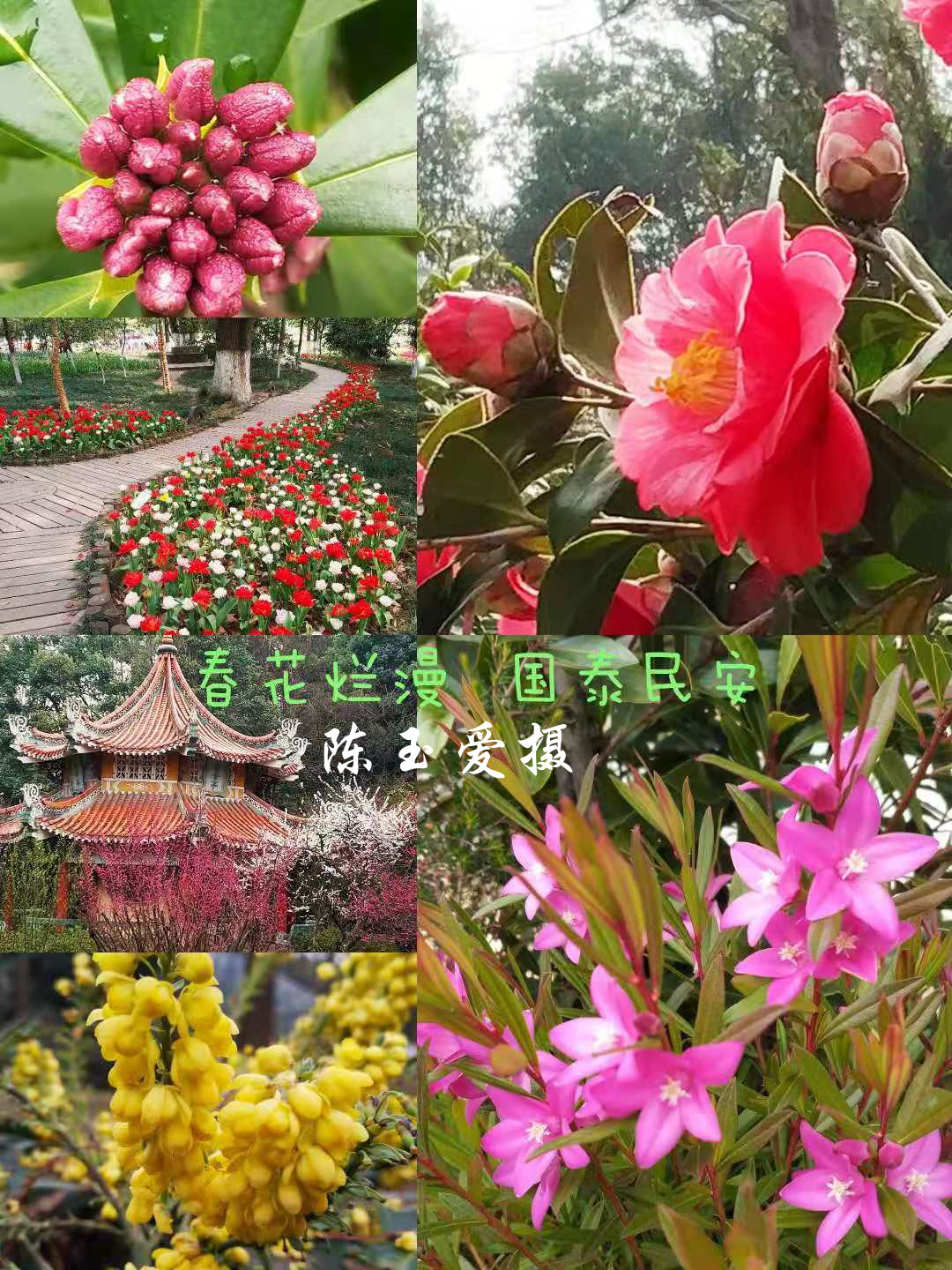 伟德国际1946bv官网