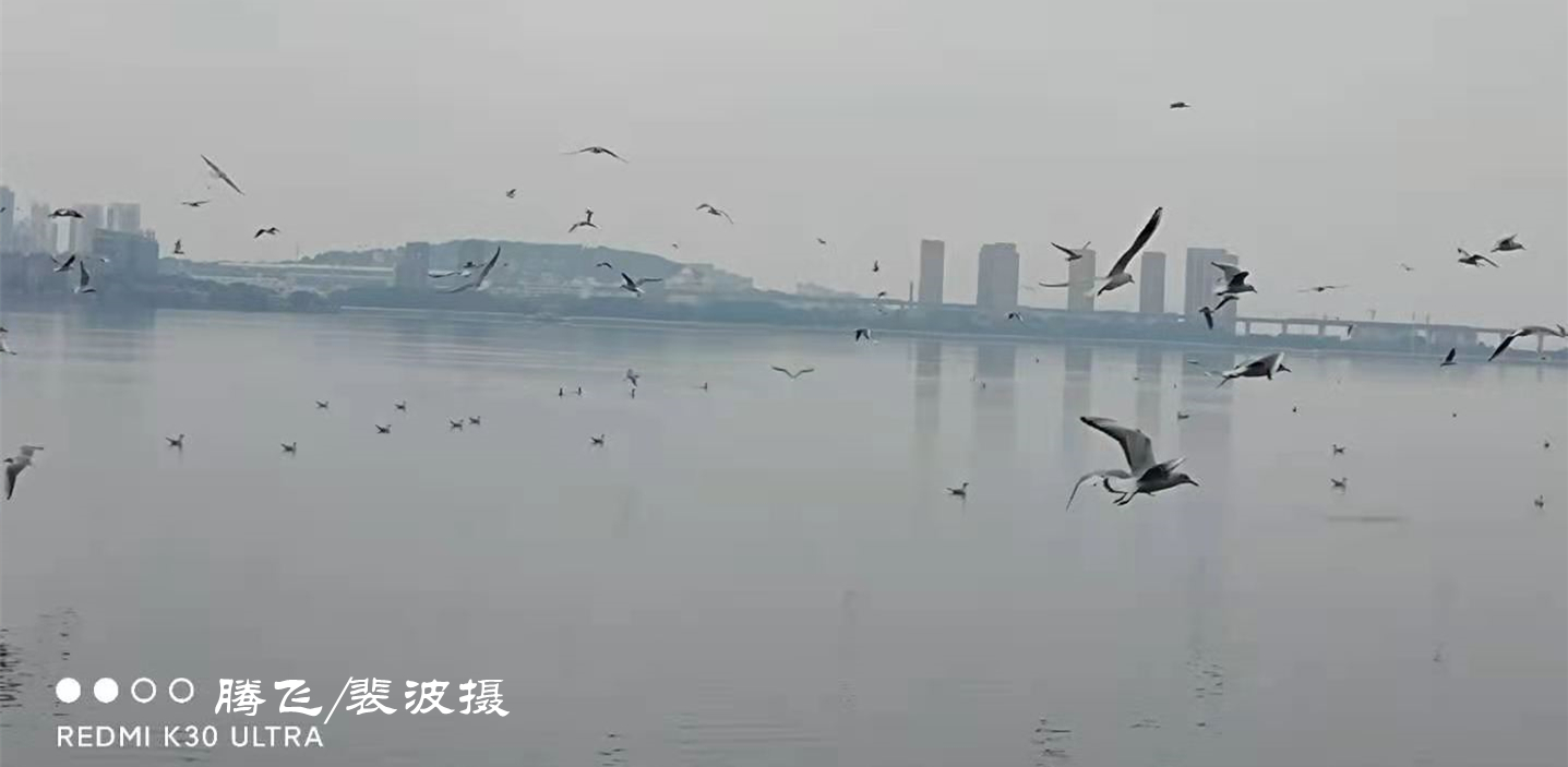 伟德国际1946bv官网