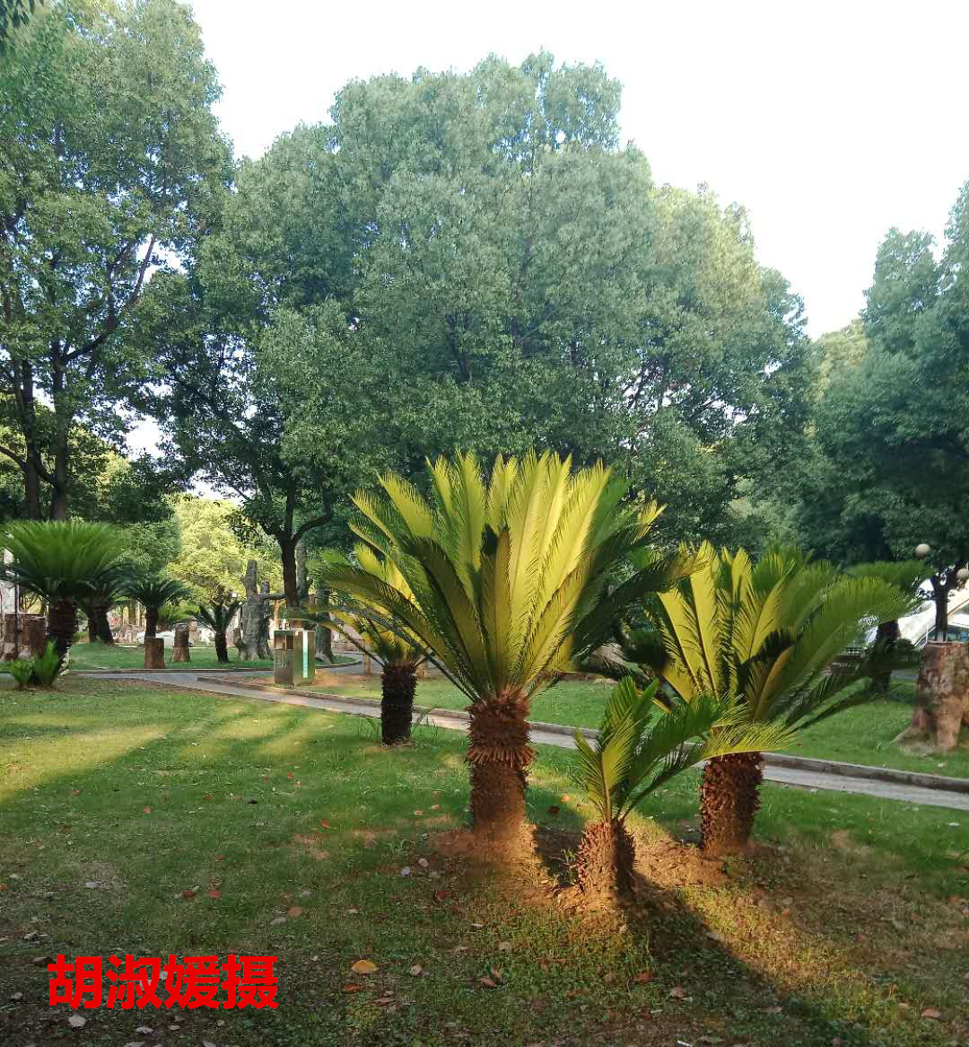 伟德国际1946bv官网