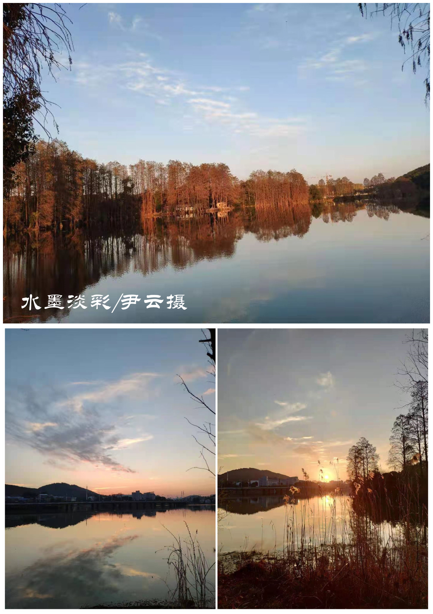 伟德国际1946bv官网