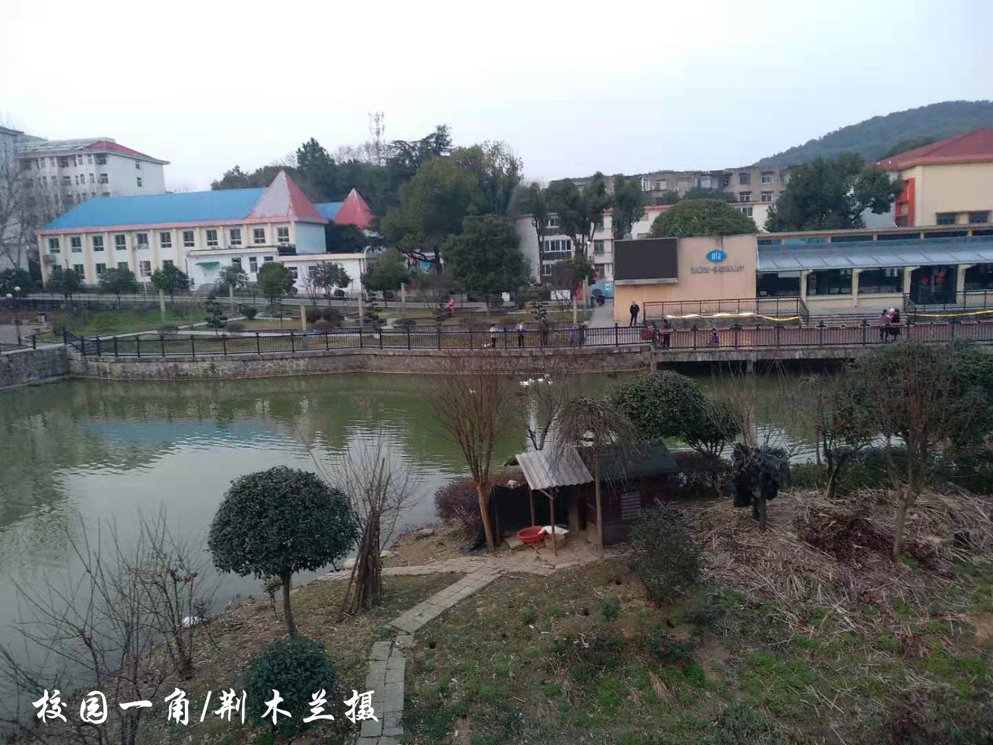 伟德国际1946bv官网